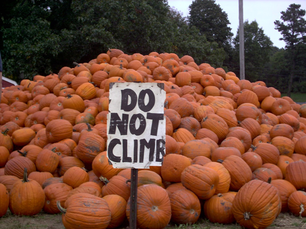 Do not climb